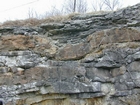 Shallow water carbonate shoaling upward cycles punctuated by storm events, or tsunami, or mass