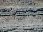 Intertidal carbonate storm deposits in outcrops of the Upper Mississippian Newman Formation. Roadcuts on Rt 519 of Eastern Kentucky south of Morehead in the western Appalachian Mountains