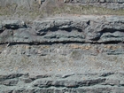 Intertidal carbonate storm deposits in outcrops of the Upper Mississippian Newman Formation. Roadcuts on Rt 519 of Eastern Kentucky south of Morehead in the western Appalachian Mountains