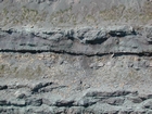 Intertidal carbonate storm deposits in outcrops of the Upper Mississippian Newman Formation. Roadcuts on Rt 519 of Eastern Kentucky south of Morehead in the western Appalachian Mountains