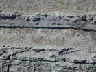 Intertidal carbonate storm deposits in outcrops of the Upper Mississippian Newman Formation. Roadcuts on Rt 519 of Eastern Kentucky south of Morehead in the western Appalachian Mountains