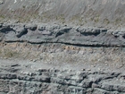 Intertidal carbonate storm deposits in outcrops of the Upper Mississippian Newman Formation. Roadcuts on Rt 519 of Eastern Kentucky south of Morehead in the western Appalachian Mountains