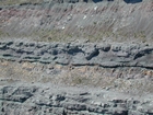 Intertidal carbonate storm deposits in outcrops of the Upper Mississippian Newman Formation. Roadcuts on Rt 519 of Eastern Kentucky south of Morehead in the western Appalachian Mountains