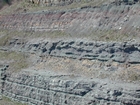 Intertidal carbonate storm deposits in outcrops of the Upper Mississippian Newman Formation. Roadcuts on Rt 519 of Eastern Kentucky south of Morehead in the western Appalachian Mountains