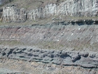 Intertidal carbonate storm deposits in outcrops of the Upper Mississippian Newman Formation. Roadcuts on Rt 519 of Eastern Kentucky south of Morehead in the western Appalachian Mountains