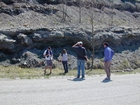 Intertidal carbonate storm deposits in outcrops of the Upper Mississippian Newman Formation. Roadcuts on Rt 519 of Eastern Kentucky south of Morehead in the western Appalachian Mountains