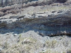 Intertidal carbonate storm deposits in outcrops of the Upper Mississippian Newman Formation. Roadcuts on Rt 519 of Eastern Kentucky south of Morehead in the western Appalachian Mountains