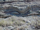 Intertidal carbonate storm deposits in outcrops of the Upper Mississippian Newman Formation. Roadcuts on Rt 519 of Eastern Kentucky south of Morehead in the western Appalachian Mountains