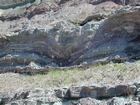 Intertidal carbonate storm deposits in outcrops of the Upper Mississippian Newman Formation. Roadcuts on Rt 519 of Eastern Kentucky south of Morehead in the western Appalachian Mountains