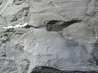 Mississippian Newman Formation South of Morehead on Rt 801 Eastern Kentucky shallow water grain carbonates, mostly cross-bedded ooid grain stones.