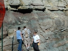 Mississippian Newman Formation South of Morehead on Rt 801 Eastern Kentucky contact with underlying soils of the next shoaling upward cycle