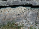 Mississippian Newman Formation South of Morehead on Rt 801 Eastern Kentucky contact with underlying soils of the next shoaling upward cycle