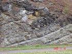 Outcrop of Nolichucky Cambrian Algal Mounds near Lebanon Virginia Rt 58 in ridge and valley region of Appalachian Mountains