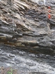 Outcrop of shale and limestone ribbbons Nolichucky Cambrian Algal Mounds near Lebanon Virginia Rt 58 in ridge and valley region of Appalachian Mountains