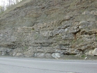 Algal mounds, ooid shoals, micrite ribbons, and shale at the base of the section in the roadcut along US Rt. 58 east of St Paul, Virginia. The outcrop exhibits an overall transgressive to regressive cycle (deepening & shoaling upward) in the Cambrian, Nolichucky Formation