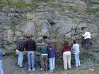 Algal mounds, ooid shoals, micrite ribbons, and shale at the base of the section in the roadcut along US Rt. 58 east of St Paul, Virginia. The outcrop exhibits an overall transgressive to regressive cycle (deepening & shoaling upward) in the Cambrian, Nolichucky Formation