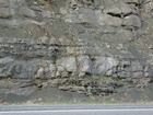 Algal mounds, ooid shoals, micrite ribbons, and shale at the base of the section in the roadcut along US Rt. 58 east of St Paul, Virginia. The outcrop exhibits an overall transgressive to regressive cycle (deepening & shoaling upward) in the Cambrian, Nolichucky Formation