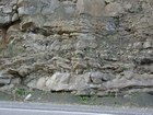 Algal mounds, ooid shoals, micrite ribbons, and shale at the base of the section in the roadcut along US Rt. 58 east of St Paul, Virginia. The outcrop exhibits an overall transgressive to regressive cycle (deepening & shoaling upward) in the Cambrian, Nolichucky Formation