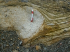 Algal mounds, ooid shoals, micrite ribbons, and shale at the base of the section in the roadcut along US Rt. 58 east of St Paul, Virginia. The outcrop exhibits an overall transgressive to regressive cycle (deepening & shoaling upward) in the Cambrian, Nolichucky Formation