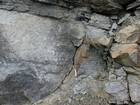 Algal mounds, ooid shoals, micrite ribbons, and shale at the base of the section in the roadcut along US Rt. 58 east of St Paul, Virginia. The outcrop exhibits an overall transgressive to regressive cycle (deepening & shoaling upward) in the Cambrian, Nolichucky Formation