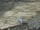 Algal mounds, ooid shoals, micrite ribbons, and shale at the base of the section in the roadcut along US Rt. 58 east of St Paul, Virginia. The outcrop exhibits an overall transgressive to regressive cycle (deepening & shoaling upward) in the Cambrian, Nolichucky Formation