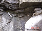 Algal mounds, ooid shoals, micrite ribbons, and shale at the base of the section in the roadcut along US Rt. 58 east of St Paul, Virginia. The outcrop exhibits an overall transgressive to regressive cycle (deepening & shoaling upward) in the Cambrian, Nolichucky Formation