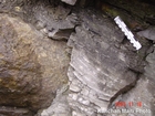 Algal mounds, ooid shoals, micrite ribbons, and shale at the base of the section in the roadcut along US Rt. 58 east of St Paul, Virginia. The outcrop exhibits an overall transgressive to regressive cycle (deepening & shoaling upward) in the Cambrian, Nolichucky Formation