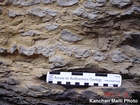 Algal mounds, ooid shoals, micrite ribbons, and shale at the base of the section in the roadcut along US Rt. 58 east of St Paul, Virginia. The outcrop exhibits an overall transgressive to regressive cycle (deepening & shoaling upward) in the Cambrian, Nolichucky Formation