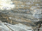 Algal mounds, ooid shoals, micrite ribbons, and shale at the base of the section in the roadcut along US Rt. 58 east of St Paul, Virginia. The outcrop exhibits an overall transgressive to regressive cycle (deepening & shoaling upward) in the Cambrian, Nolichucky Formation