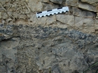 Algal mounds, ooid shoals, micrite ribbons, and shale at the base of the section in the roadcut along US Rt. 58 east of St Paul, Virginia. The outcrop exhibits an overall transgressive to regressive cycle (deepening & shoaling upward) in the Cambrian, Nolichucky Formation