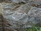 Nolichucky Formation Cambrian Algal Mounds Hansonville Virginia Rt 58 in ridge and valley region of Appalachian Mountains