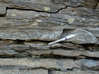 Nolichucky Formation Cambrian Algal Mounds Hansonville Virginia Rt 58 in ridge and valley region of Appalachian Mountains