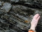 Nolichucky Formation Cambrian Algal Mounds Hansonville Virginia Rt 58 in ridge and valley region of Appalachian Mountains