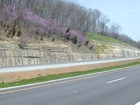 Mississippian Newman Limestone shallow water high energy Ooid shoal facies Eastern Kentucky on I 64 in Western Appalachian Mountains close to Olive Hill