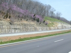 Mississippian Newman Limestone shallow water high energy Ooid shoal facies Eastern Kentucky on I 64 in Western Appalachian Mountains close to Olive Hill