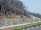 Mississippian Newman Limestone shallow water high energy Ooid shoal facies Eastern Kentucky on I 64 in Western Appalachian Mountains close to Olive Hill