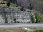 Mississippian Newman Limestone shallow water high energy Ooid shoal facies Eastern Kentucky on I 64 in Western Appalachian Mountains close to Olive Hill