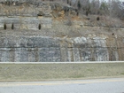 Mississippian Newman Limestone shallow water high energy Ooid shoal facies Eastern Kentucky on I 64 in Western Appalachian Mountains close to Olive Hill