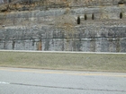 Mississippian Newman Limestone shallow water high energy Ooid shoal facies Eastern Kentucky on I 64 in Western Appalachian Mountains close to Olive Hill