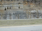 Mississippian Newman Limestone shallow water high energy Ooid shoal facies Eastern Kentucky on I 64 in Western Appalachian Mountains close to Olive Hill