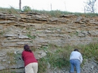 Ordovician Cincinnatian Group shelf close to Winchester Kentucky, Route 627