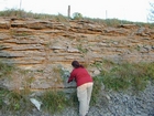 Ordovician Cincinnatian Group shelf close to Winchester Kentucky, Route 627