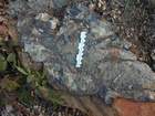 Ordovician Cincinnatian Group shelf close to Winchester Kentucky, Route 627