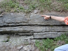 Ordovician Cincinnatian Group shelf close to Winchester Kentucky, Route 627