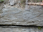 Ordovician Cincinnatian Group shelf close to Winchester Kentucky, Route 627