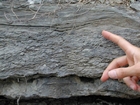 Ordovician Cincinnatian Group shelf close to Winchester Kentucky, Route 627