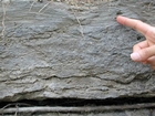 Ordovician Cincinnatian Group shelf close to Winchester Kentucky, Route 627