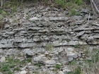 Ordovician Cincinnatian Group shelf close to Winchester Kentucky, Route 627