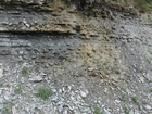 Ordovician Cincinnatian Group shelf close to Winchester Kentucky, Route 627