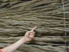 Ordovician Cincinnatian Group shelf close to Winchester Kentucky, Route 627